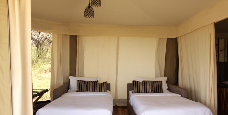 Extra Twin Beds in Family Suite