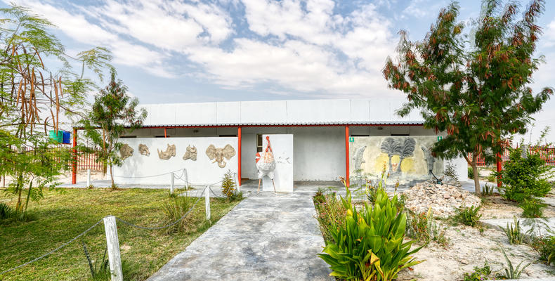 Garden Area