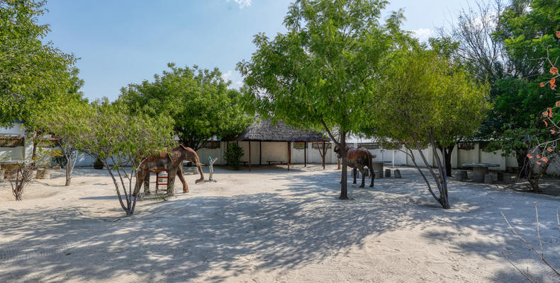 Braai Area