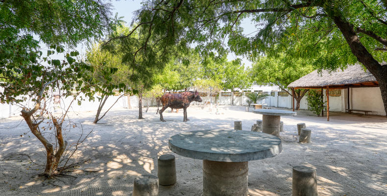 Braai Area