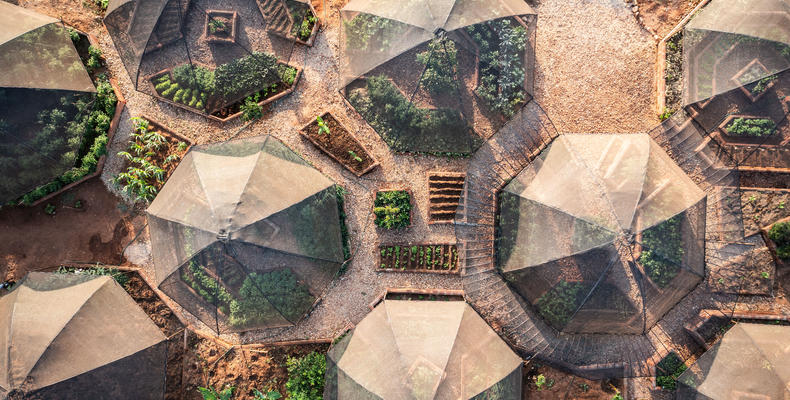 Shamba pods