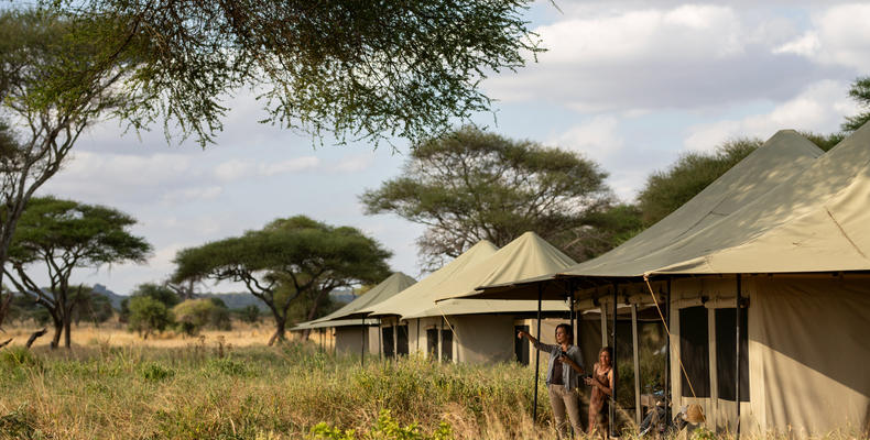Guest tents