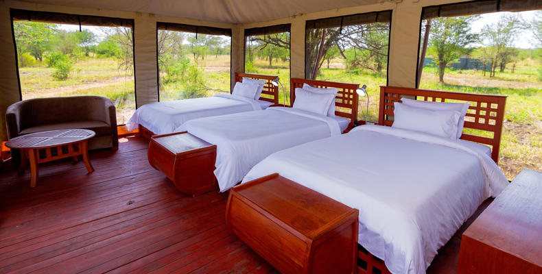 Triple room