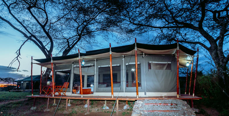 Mt.Kilimanjaro Tent