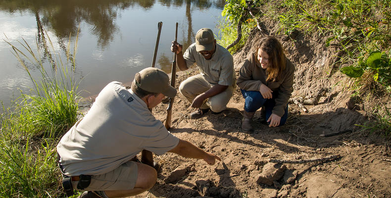 Guided Bush Walks