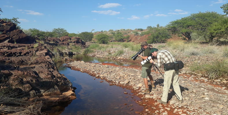 Guided walking activities