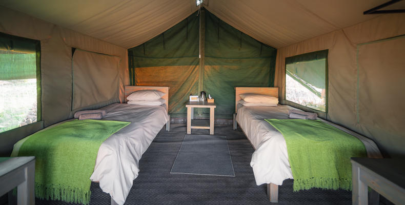 Twin eco-tent interior