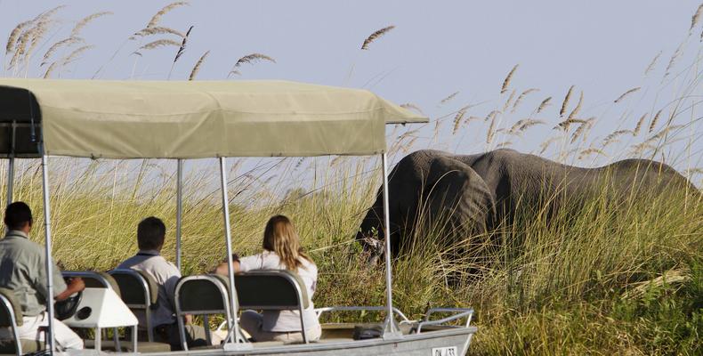 Motorboat trip in the heart of the Moremi Game Reserve