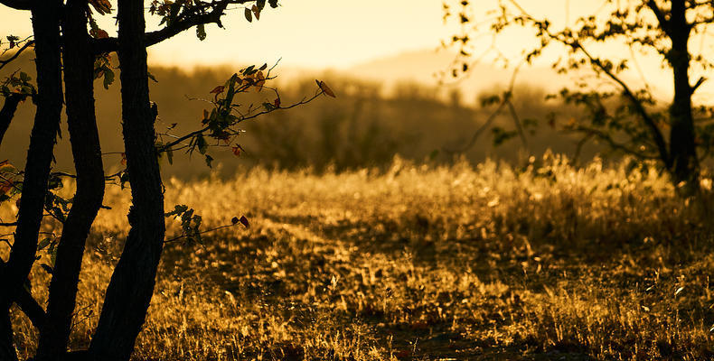 Sunset on Huab