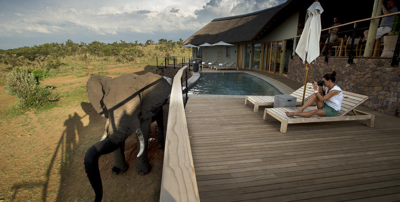 Mhondoro Safari Lodge and Villa