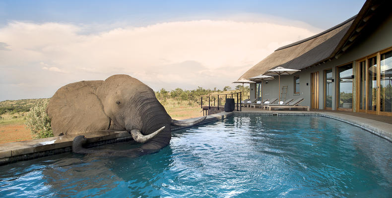 Mhondoro Safari Lodge and Villa
