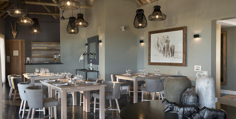 Mhondoro Safari Lodge and Villa