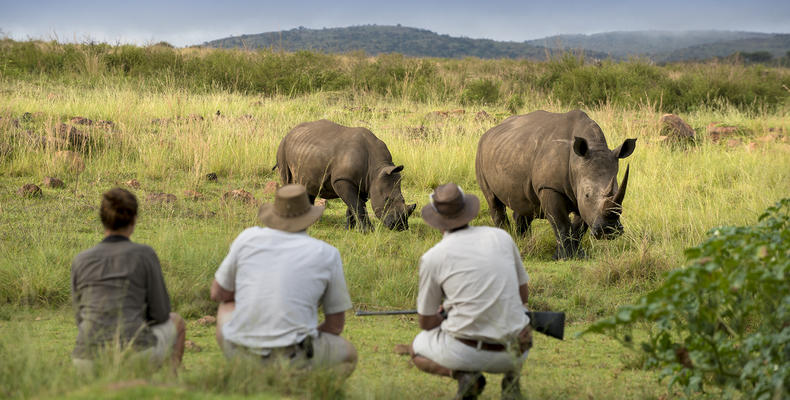 Mhondoro Safari Lodge and Villa
