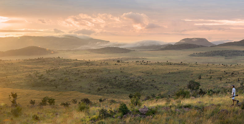 Mhondoro Safari Lodge and Villa