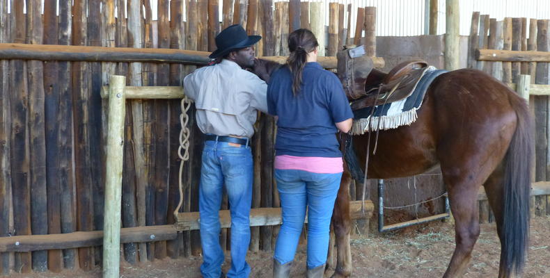 Horse riding