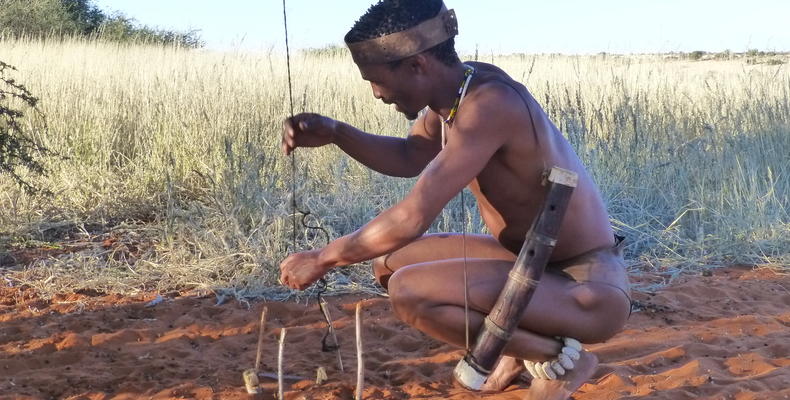 Bushman activity