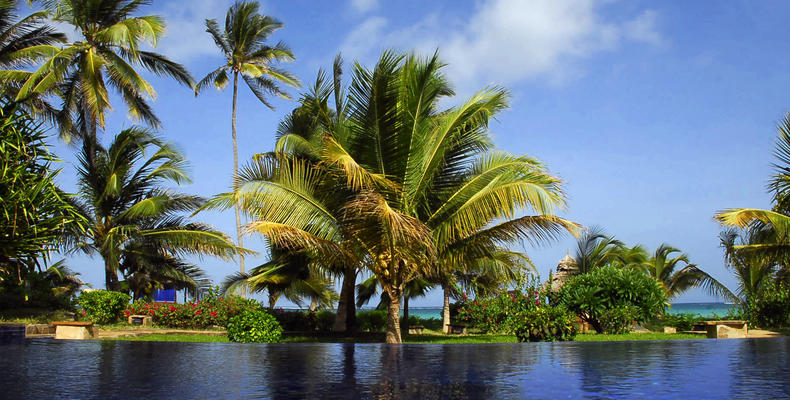 Palms infinity pool