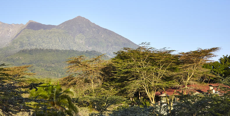 Hatari Lodge Views