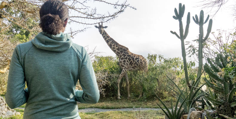 Hatari Lodge