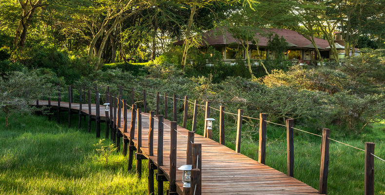 Hatari Lodge Walk Way