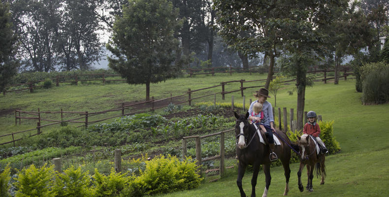 Elewana The Manor at Ngorongoro