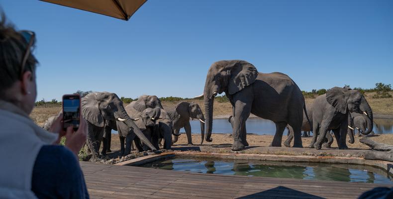 Somalisa Camp Elephant Pool