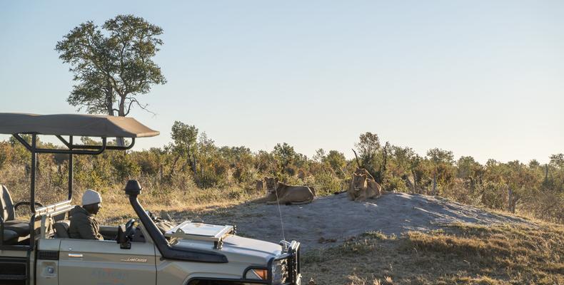 Somalisa Game drive