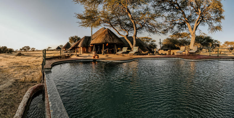 Okonjima African Villa - Infinity Pool View