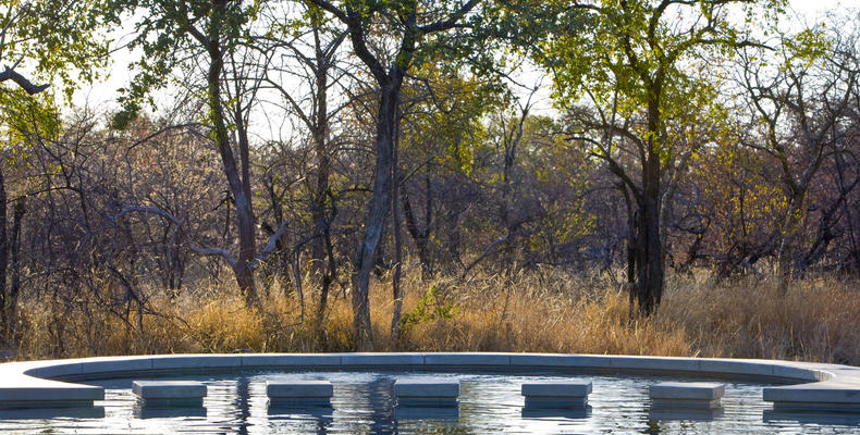 Mushara Bush Camp - Pool