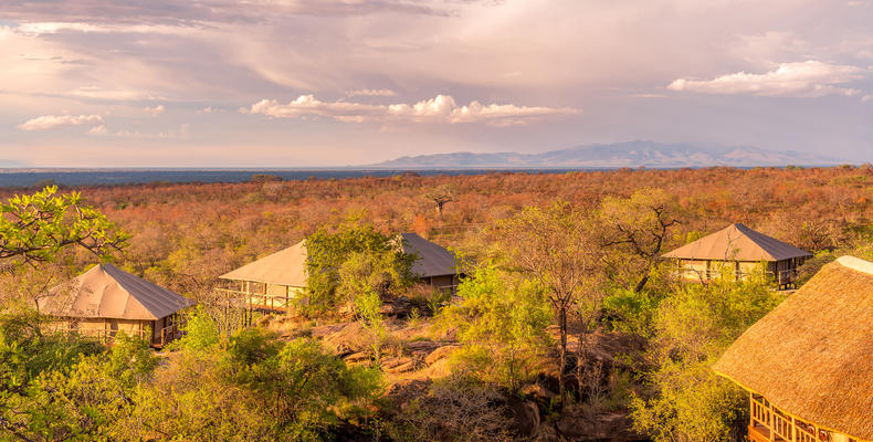 Overview