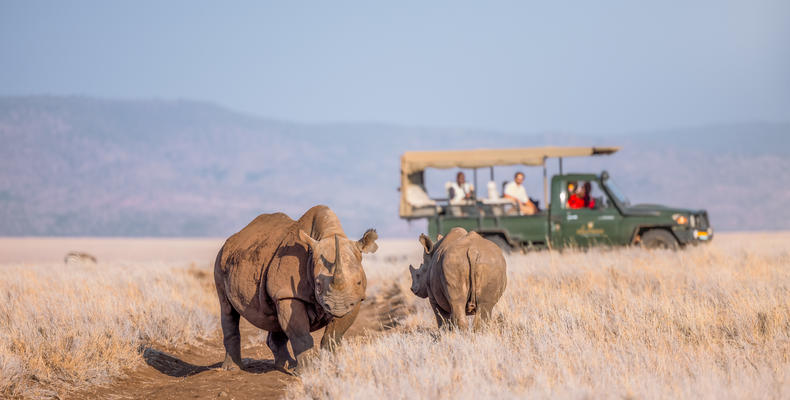 Lewa Safari Camp