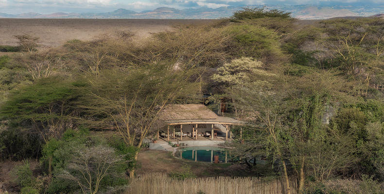 Lewa Safari Camp