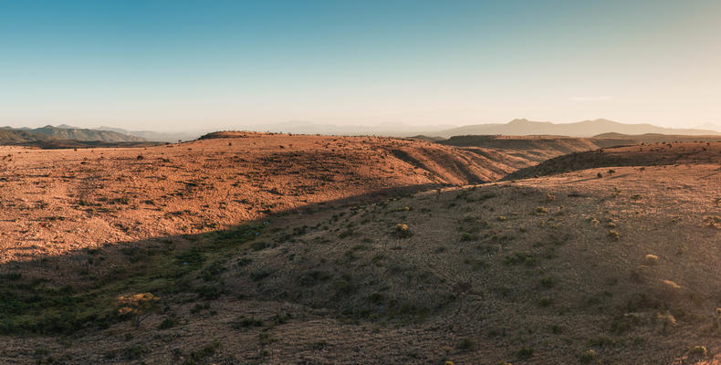 Early Morning Views of the Lewa Plains