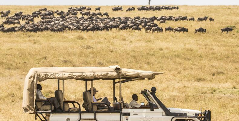 game drives in the state of the art open converted 4x4's
