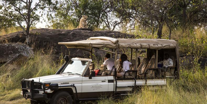 game drives in state of the art open converted 4x4's accompanied by a professional Ranger and a local Kuria spotter