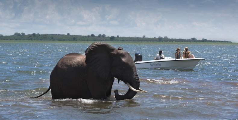 Bumi Hills Safari Lodge