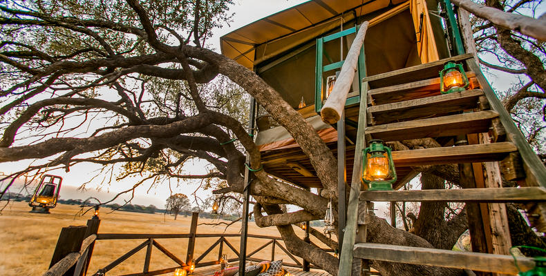 Dove's Nest Treehouse