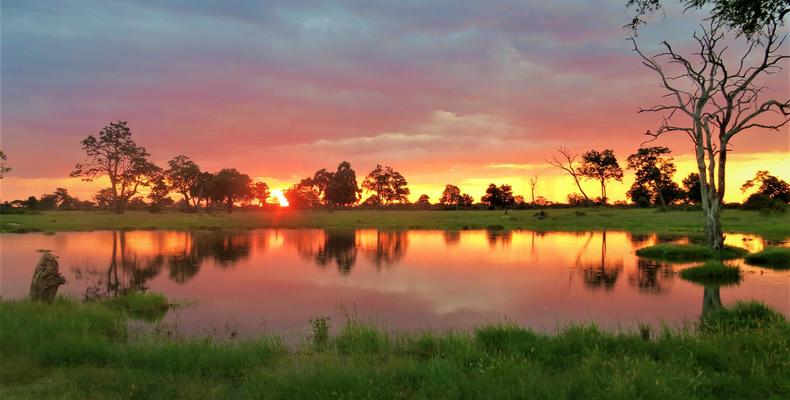 Sunset in Hwange