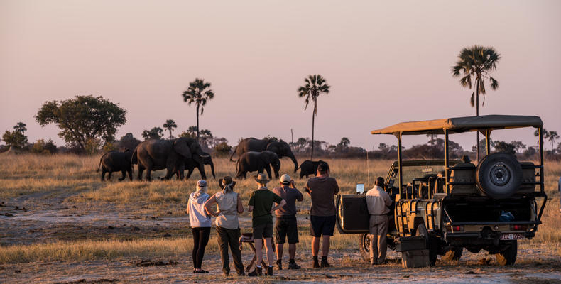 Game Drive at The Hide