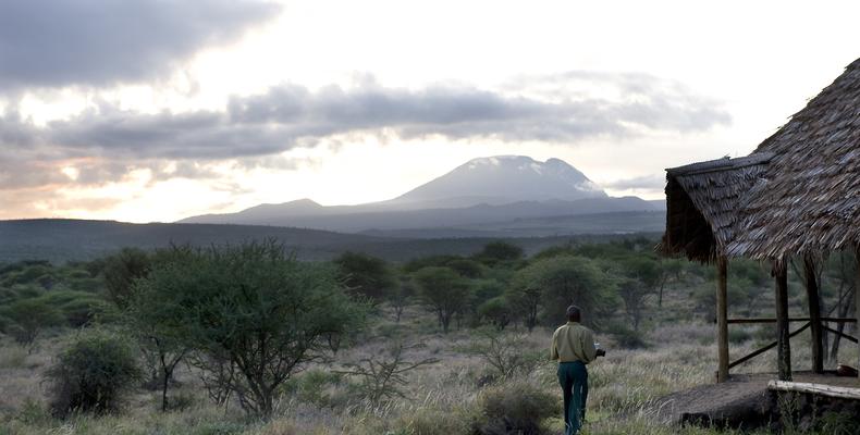Kambi ya Tembo and Kilimanjaro