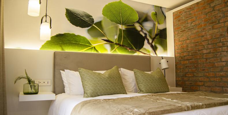 Each Ground Floor Luxury suite is beautifully decorated