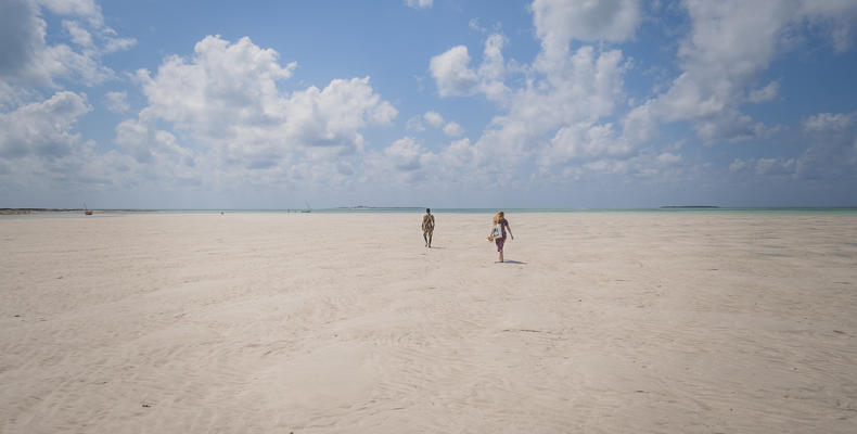 Lowtide Walks 