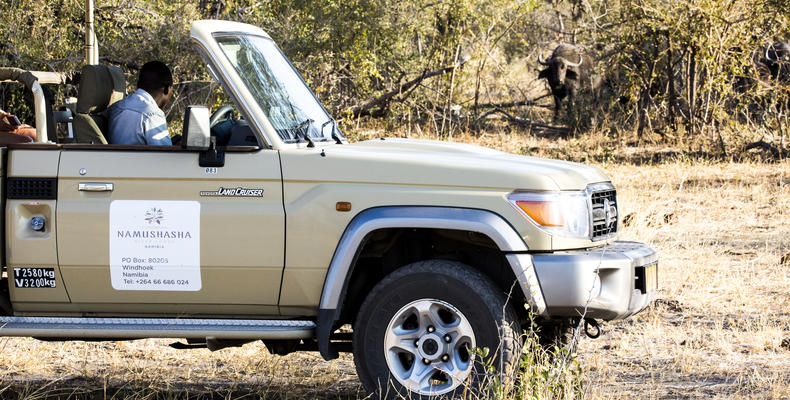 Namushasha River Lodge