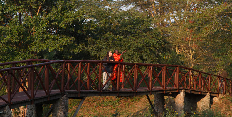 Situated on a seasonal stream surrounded by yellow fever trees.
