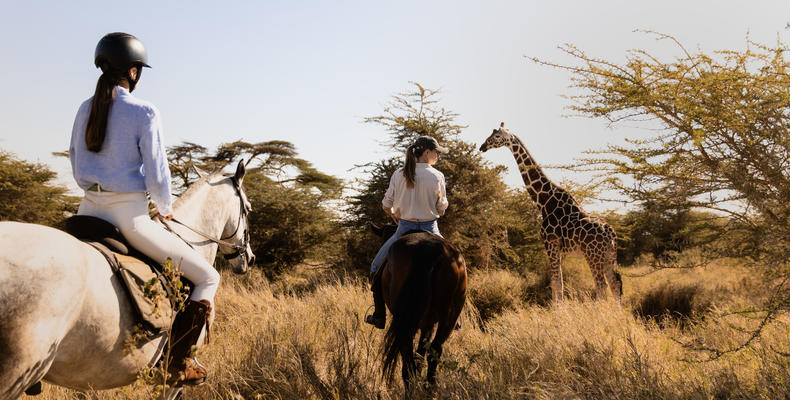 Horse riding: giraffe