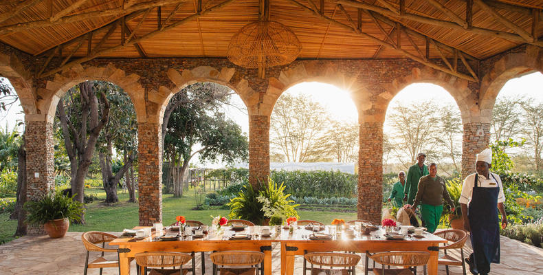 Shamba Dining