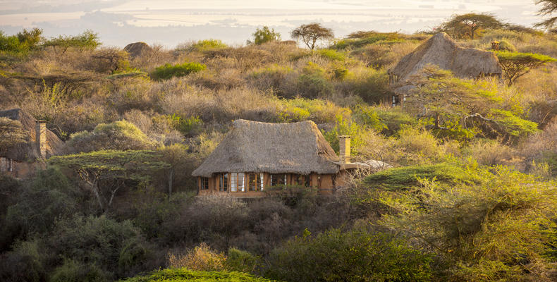 The Hillside Cottage