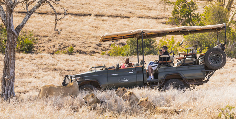 Game drive: electric safari car 