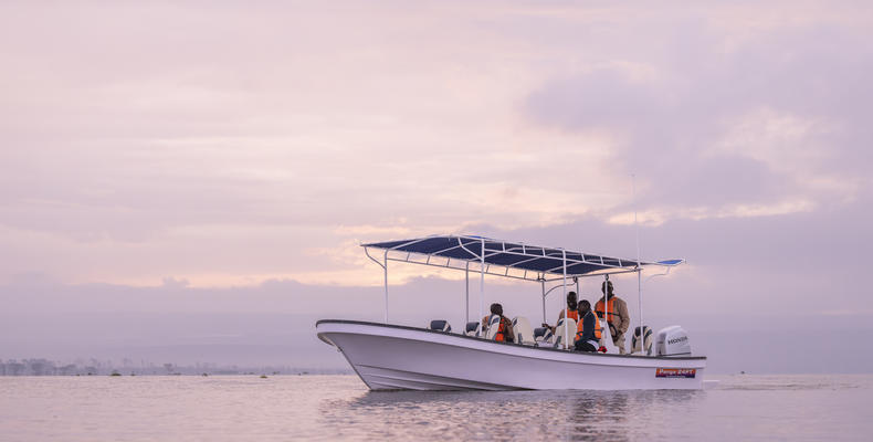 Boat rides on Lake Naivasha
