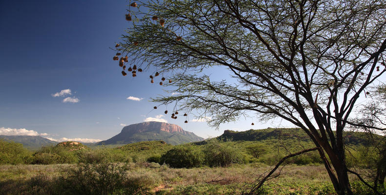 Saruni Samburu